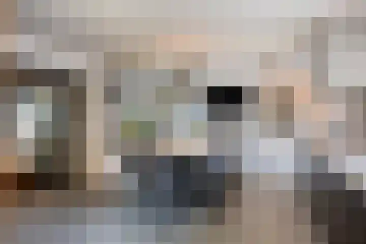 Beukenlaan 1 Rosmalen thumbnail 24