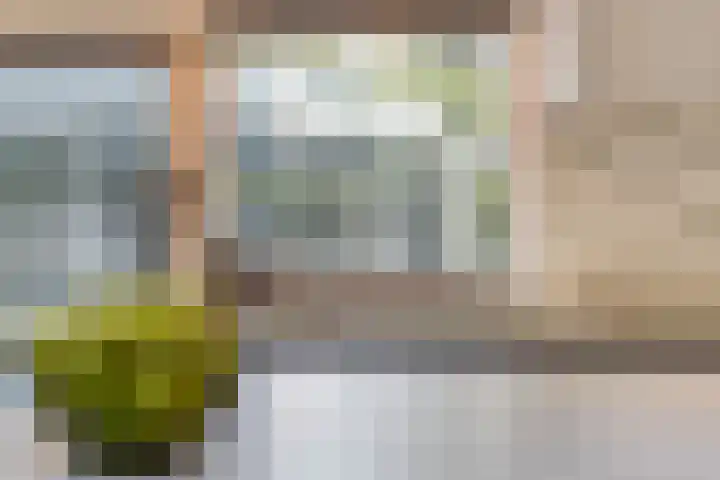 Beukenlaan 1 Rosmalen thumbnail 26