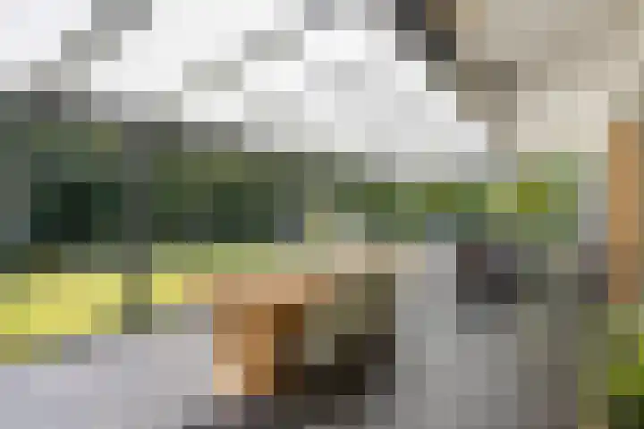Beukenlaan 1 Rosmalen thumbnail 30