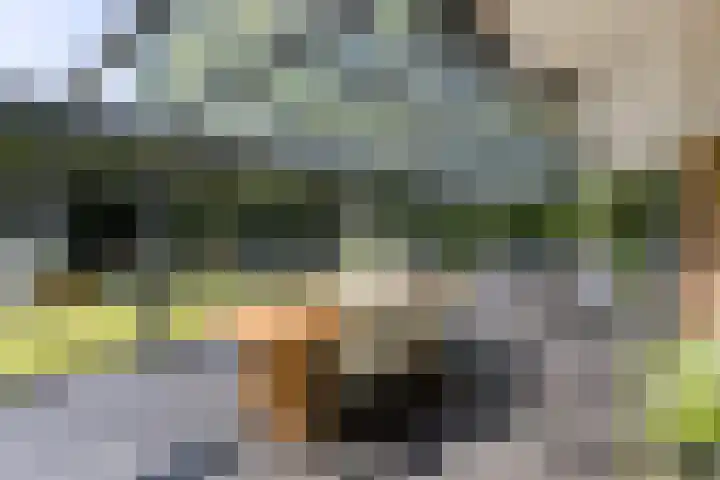 Beukenlaan 1 Rosmalen thumbnail 31