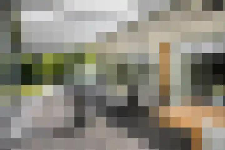 Beukenlaan 1 Rosmalen thumbnail 32