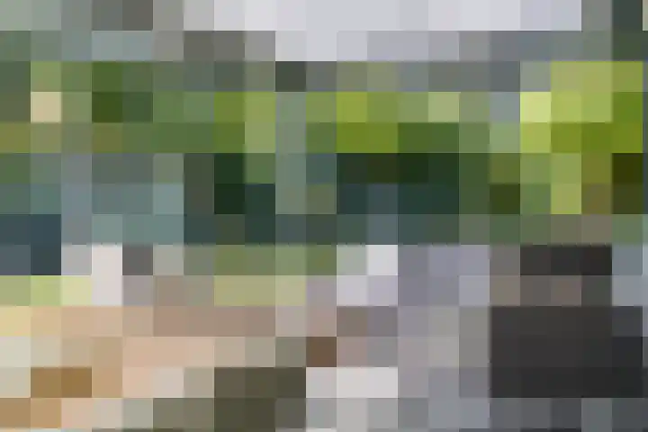 Beukenlaan 1 Rosmalen thumbnail 33