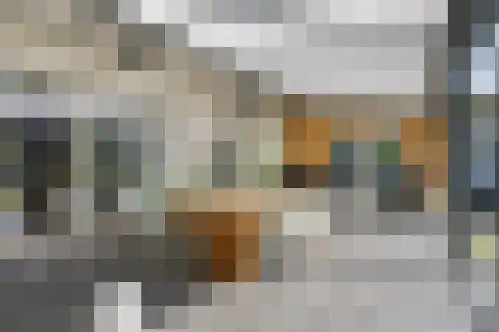 Beukenlaan 1 Rosmalen thumbnail 34