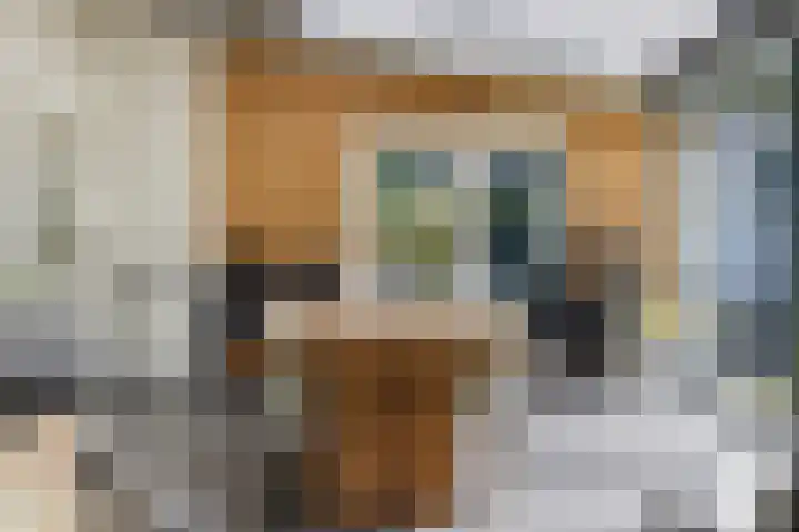Beukenlaan 1 Rosmalen thumbnail 35