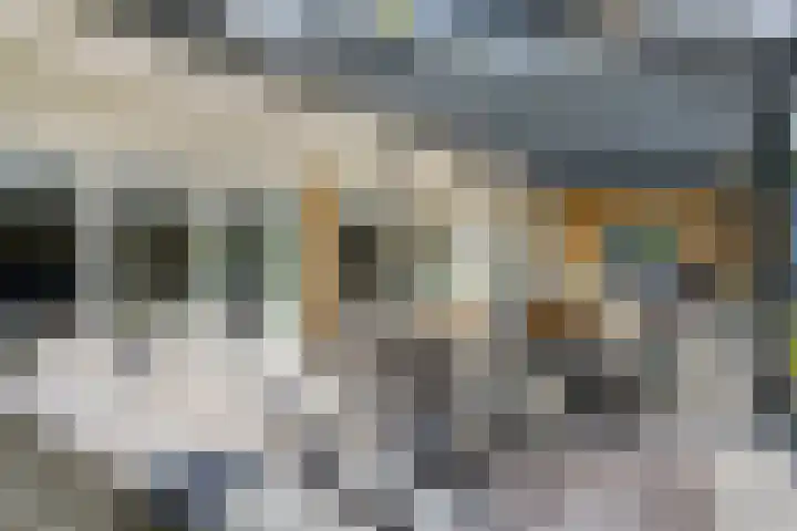 Beukenlaan 1 Rosmalen thumbnail 36
