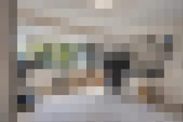 Beukenlaan 1 Rosmalen thumbnail 45
