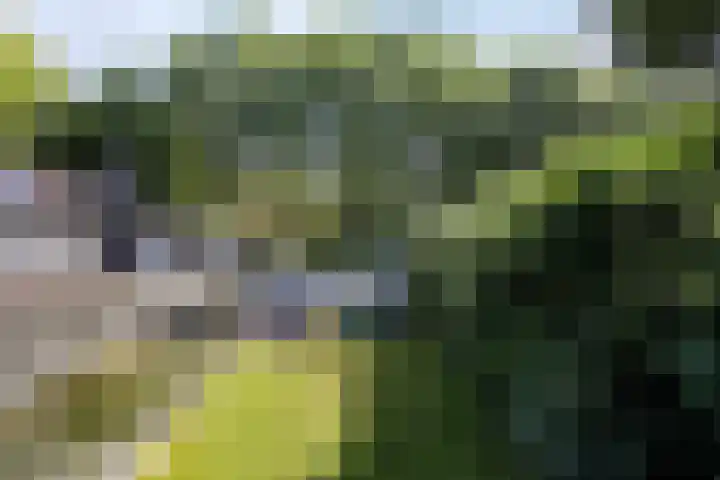 Beukenlaan 1 Rosmalen thumbnail 55