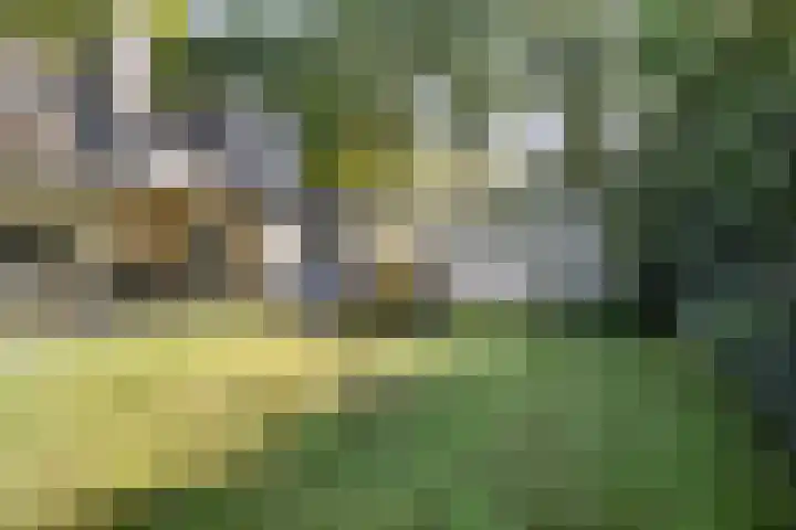 Beukenlaan 1 Rosmalen thumbnail 56