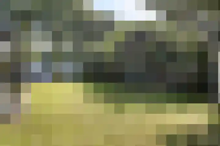 Beukenlaan 1 Rosmalen thumbnail 57