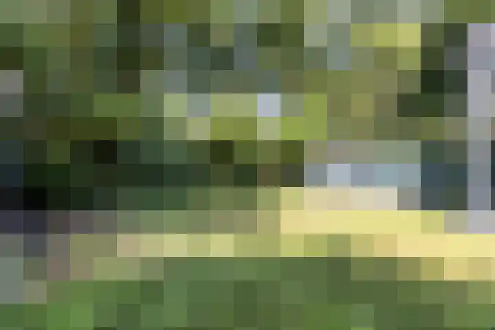 Beukenlaan 1 Rosmalen thumbnail 58