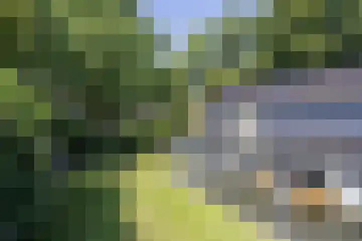Beukenlaan 1 Rosmalen thumbnail 59