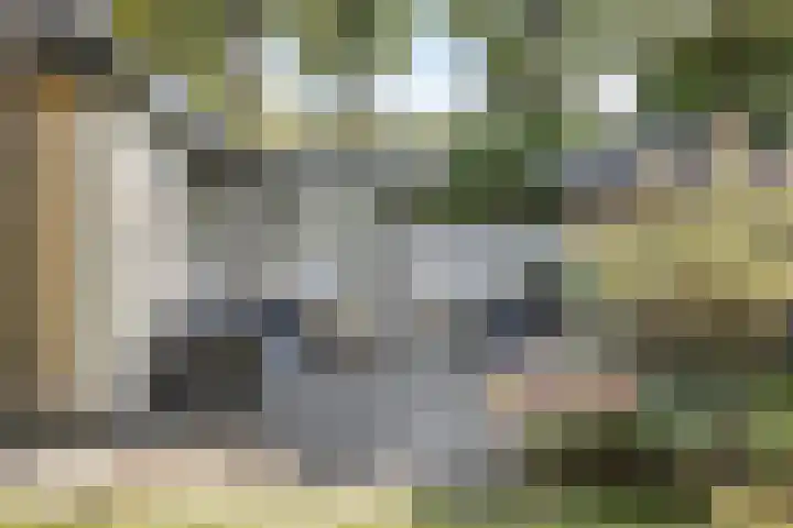 Beukenlaan 1 Rosmalen thumbnail 61