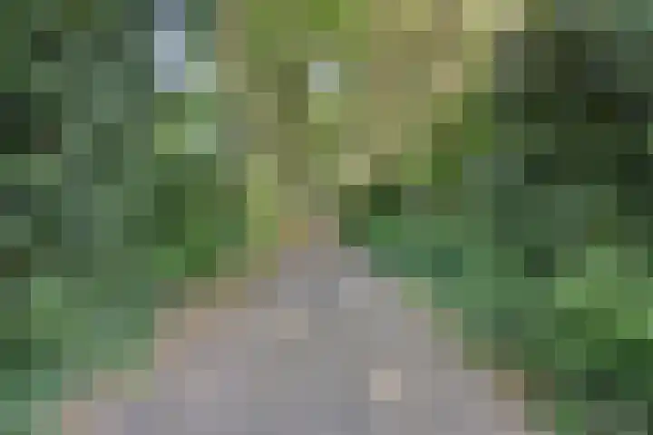 Beukenlaan 1 Rosmalen thumbnail 66