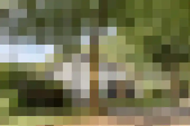 Beukenlaan 1 Rosmalen thumbnail 67