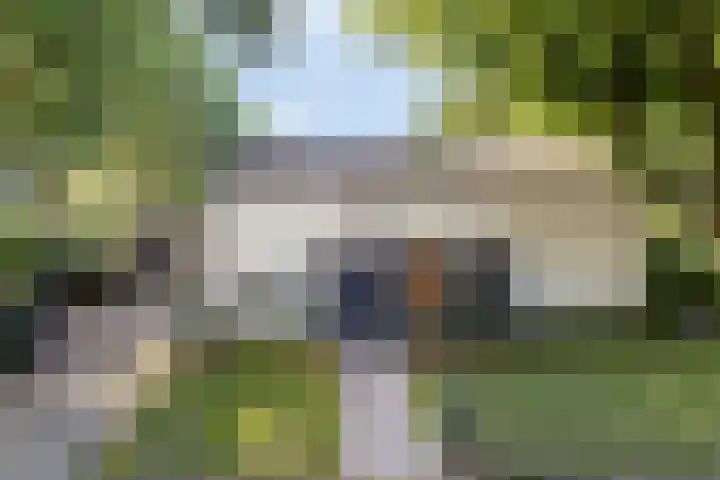Beukenlaan 1 Rosmalen thumbnail 69