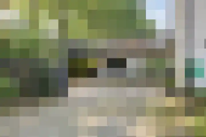 Beukenlaan 1 Rosmalen thumbnail 70