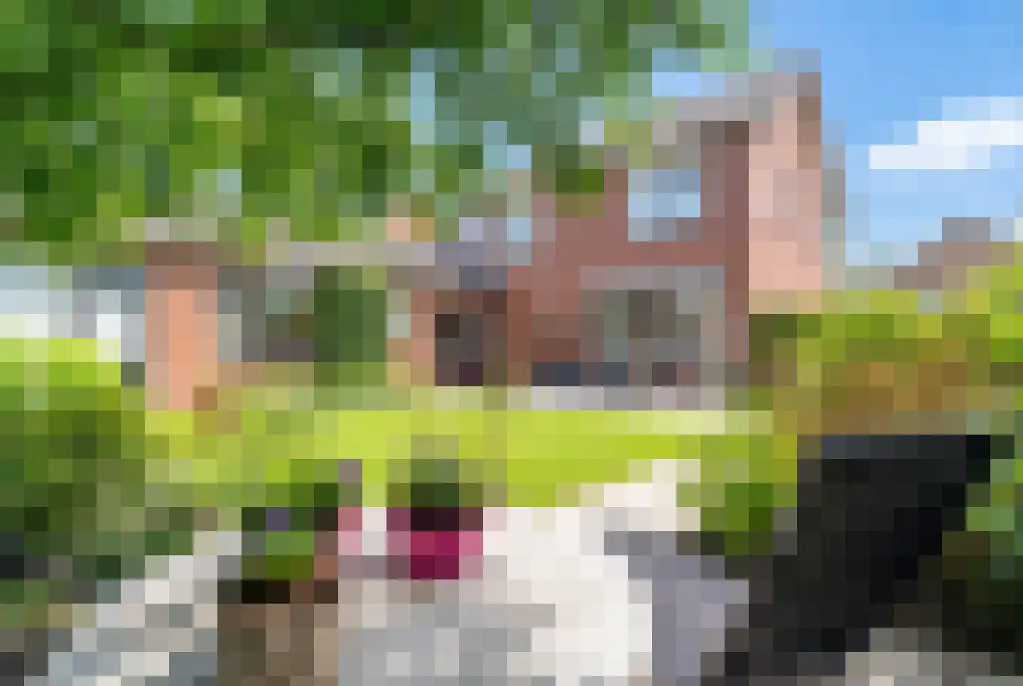 Beukenlaan 1 Wierden