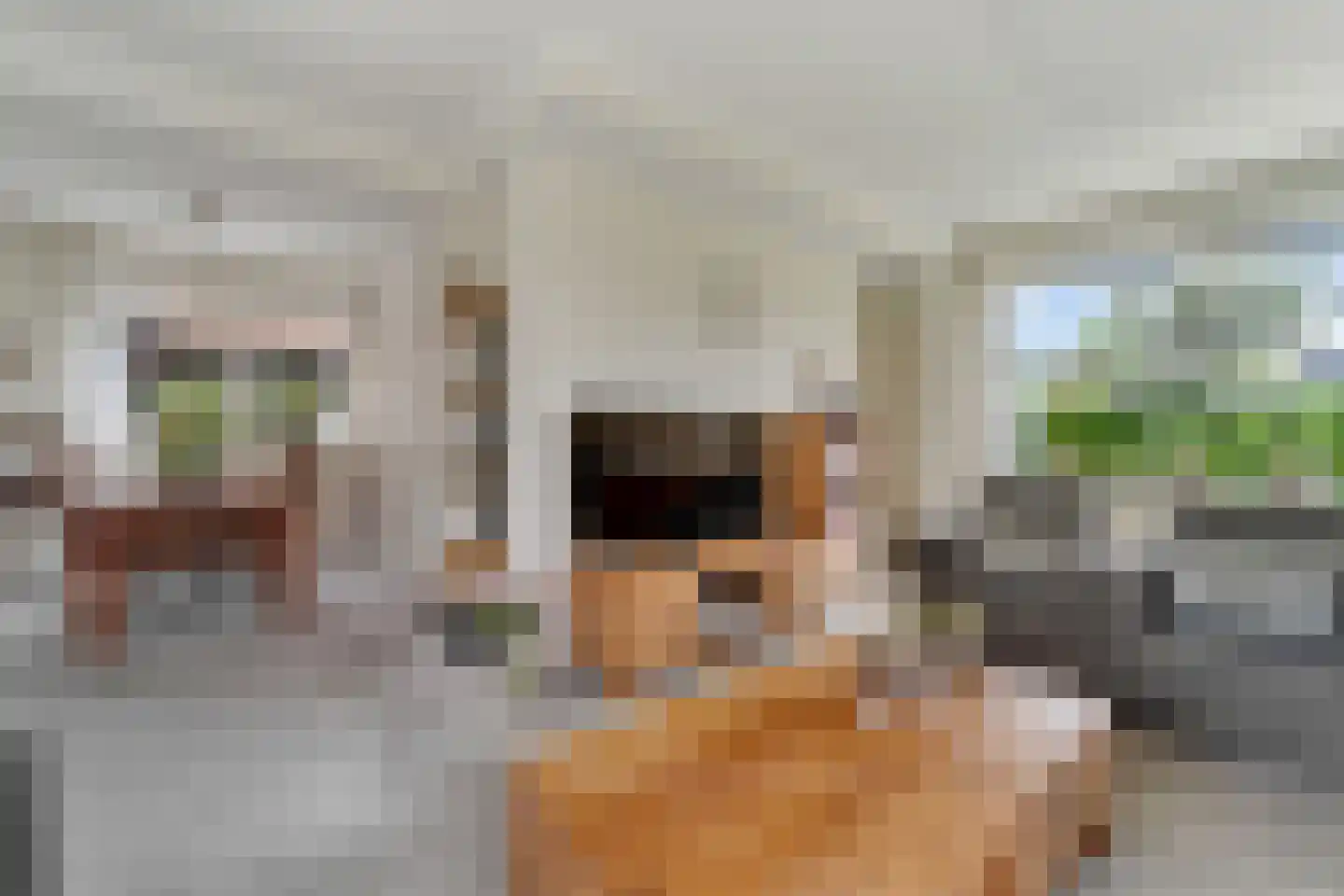 Beukenlaan 1 Wierden thumbnail 10