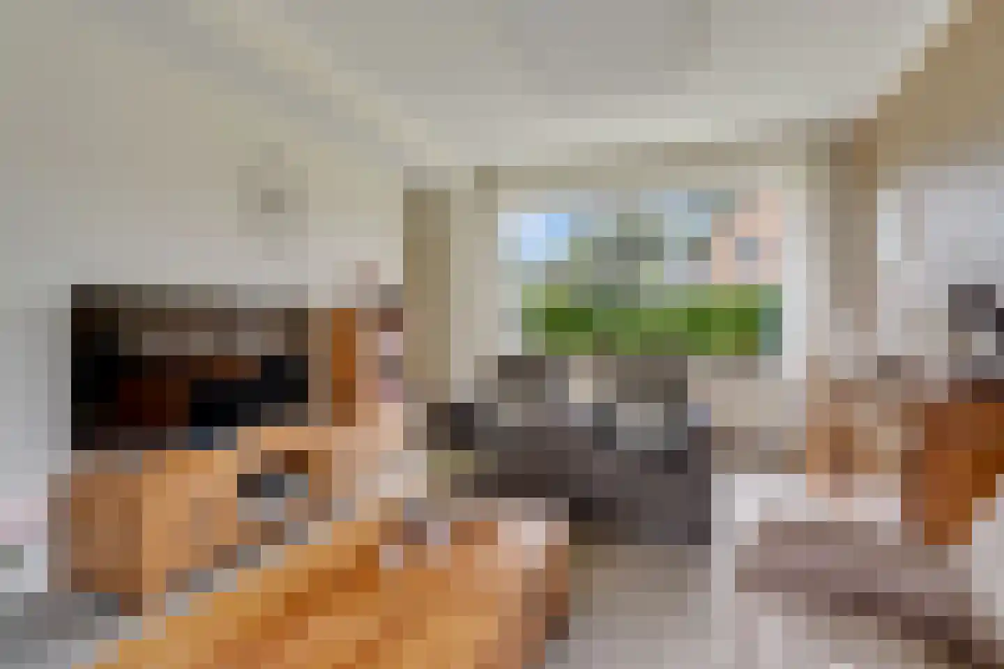 Beukenlaan 1 Wierden thumbnail 11