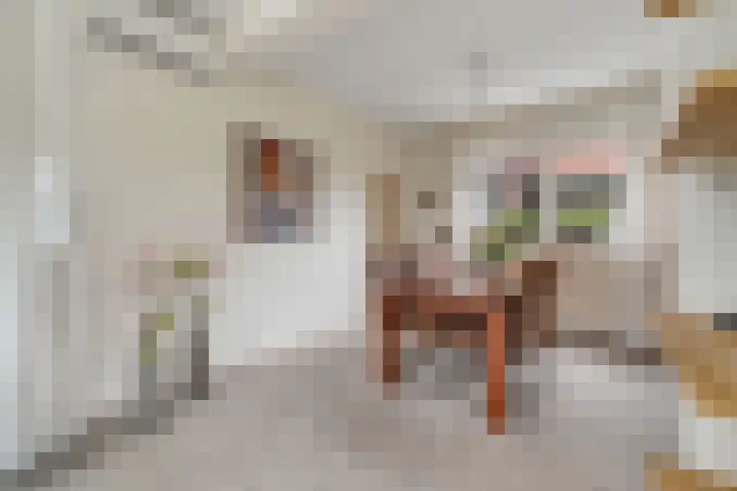 Beukenlaan 1 Wierden thumbnail 13
