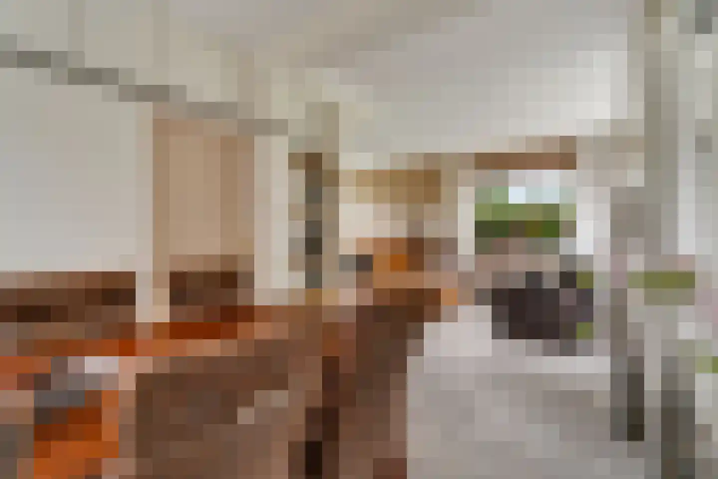 Beukenlaan 1 Wierden thumbnail 14