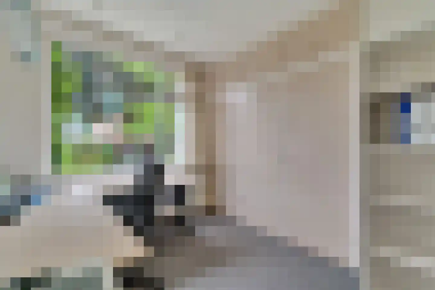 Beukenlaan 1 Wierden thumbnail 23