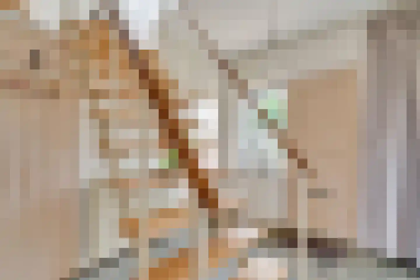 Beukenlaan 1 Wierden thumbnail 25