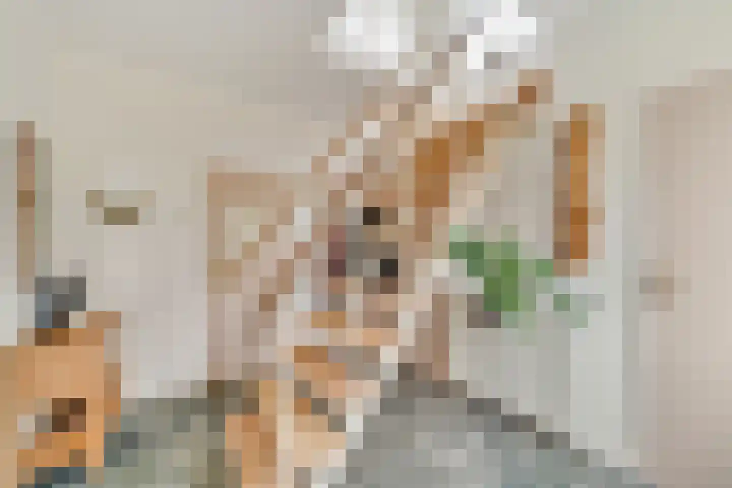 Beukenlaan 1 Wierden thumbnail 26