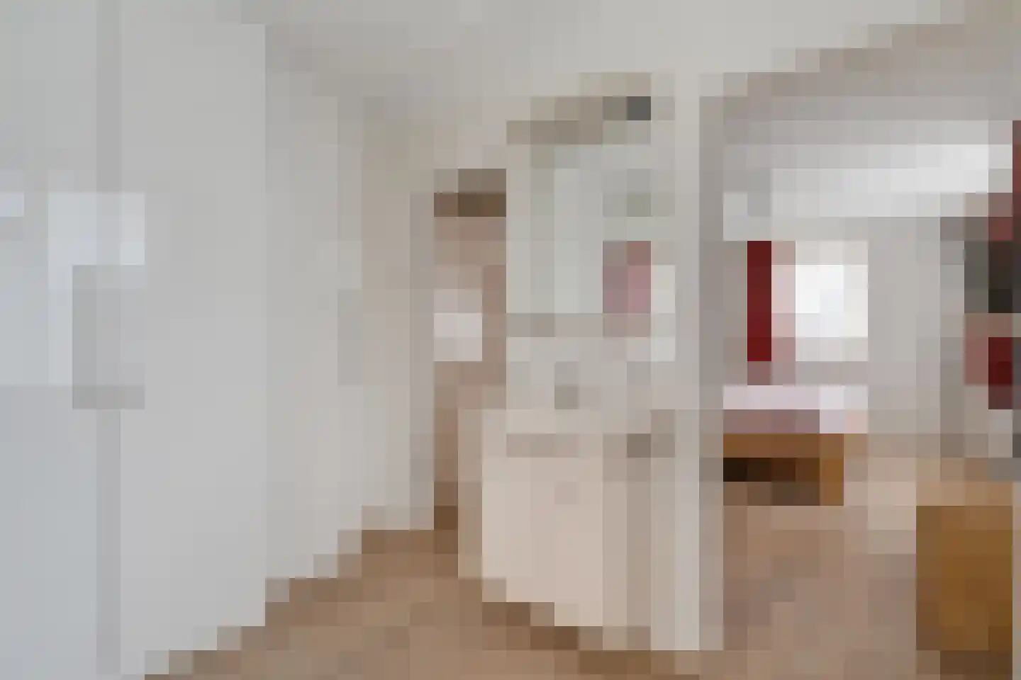 Beukenlaan 1 Wierden thumbnail 35
