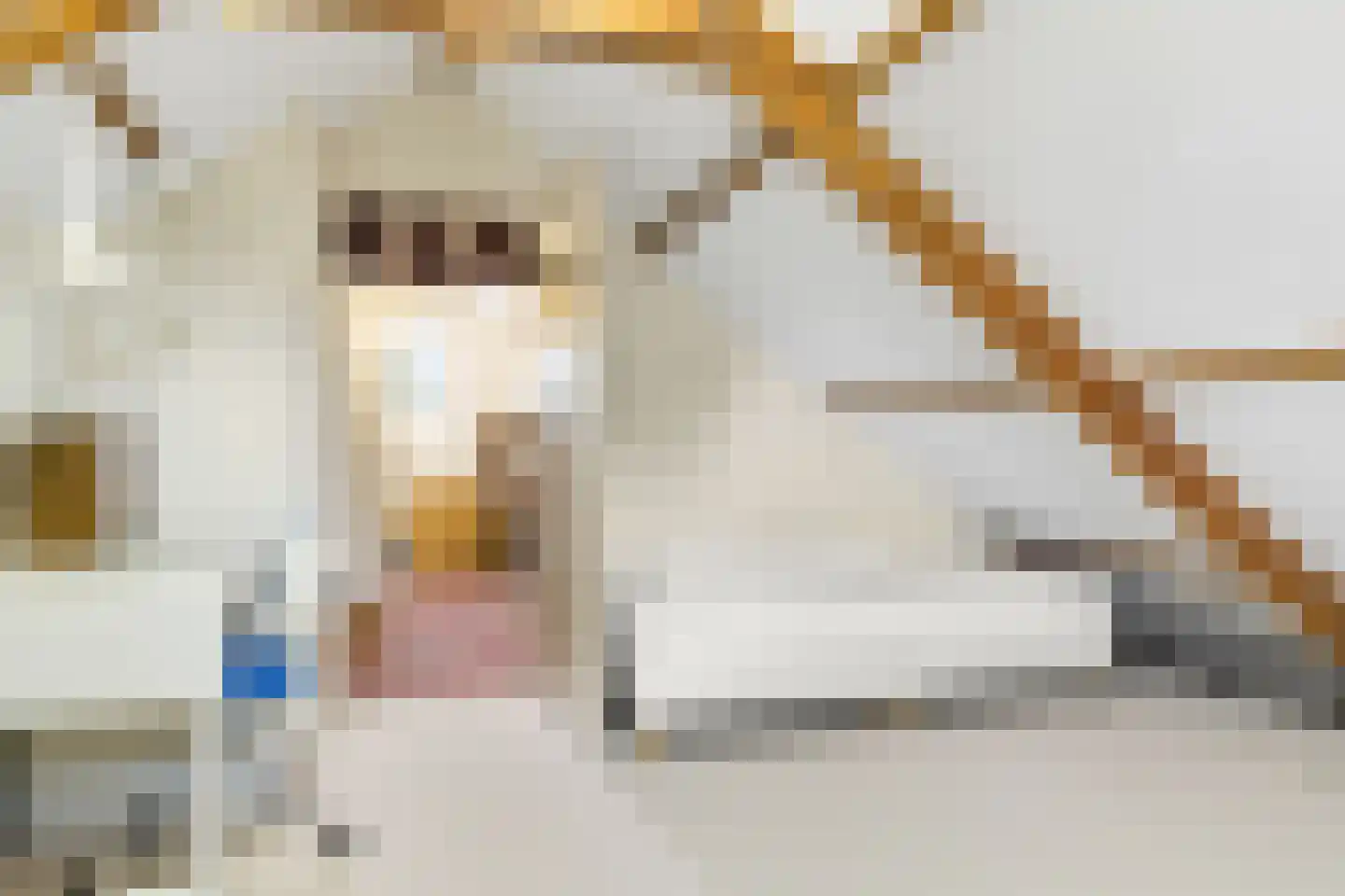 Beukenlaan 1 Wierden thumbnail 39