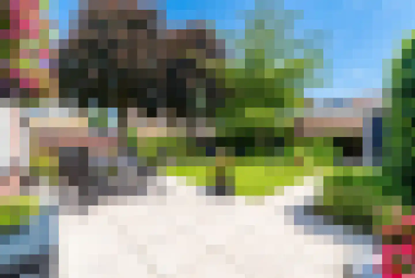 Beukenlaan 1 Wierden thumbnail 4