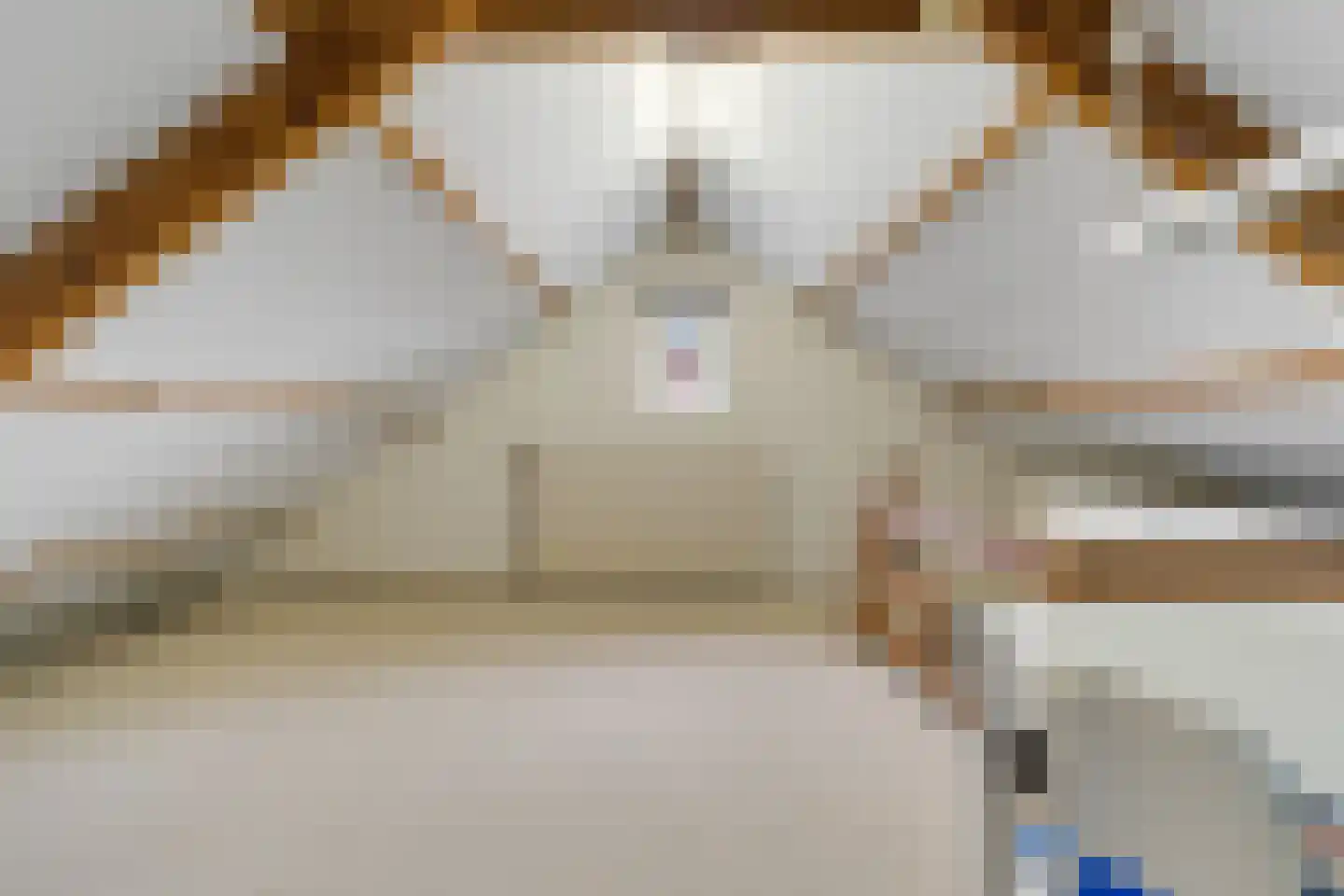 Beukenlaan 1 Wierden thumbnail 40