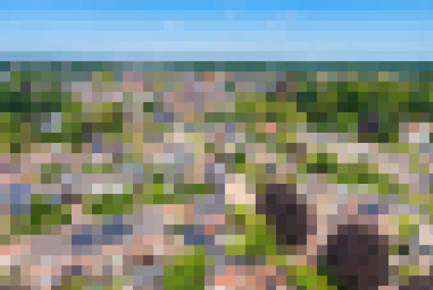 Beukenlaan 1 Wierden thumbnail 54
