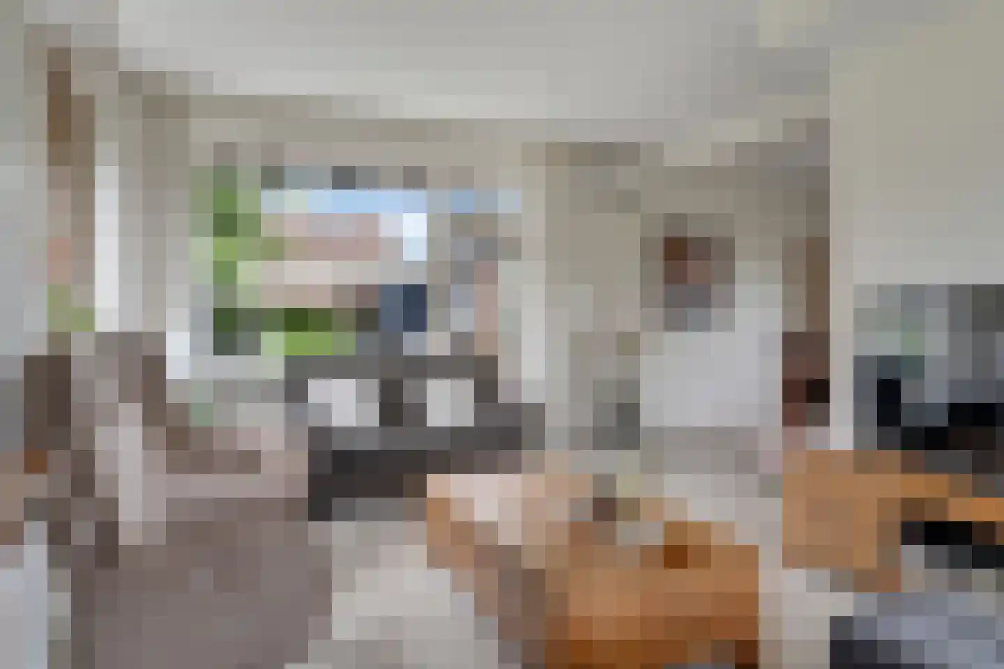 Beukenlaan 1 Wierden thumbnail 6