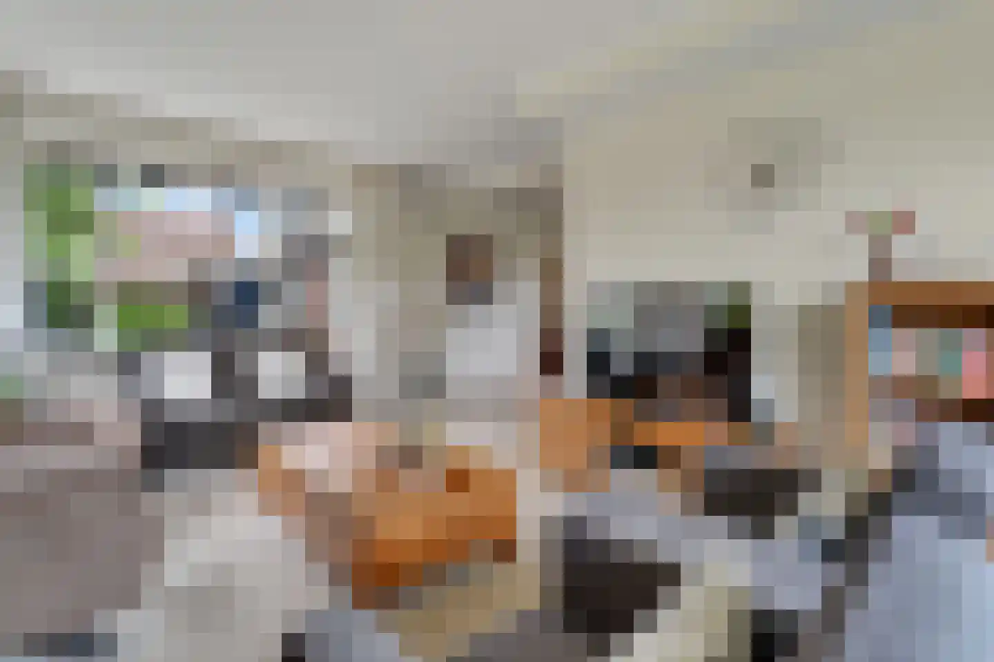 Beukenlaan 1 Wierden thumbnail 7