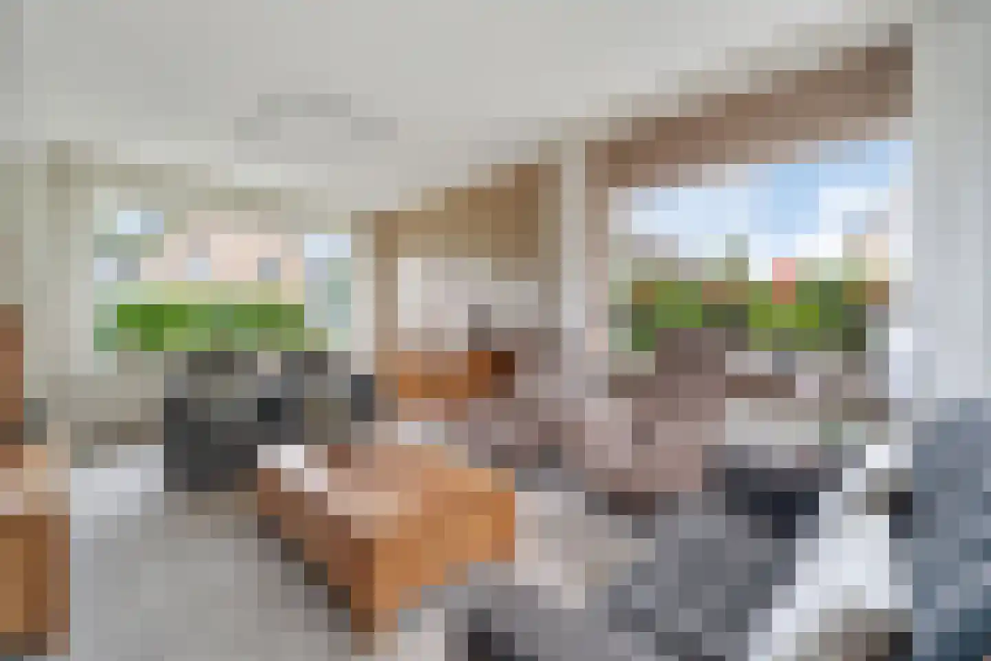 Beukenlaan 1 Wierden thumbnail 8