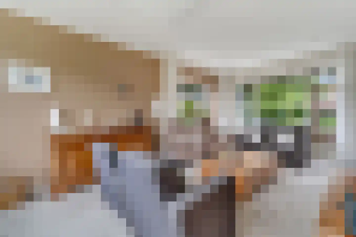 Beukenlaan 1 Wierden thumbnail 9