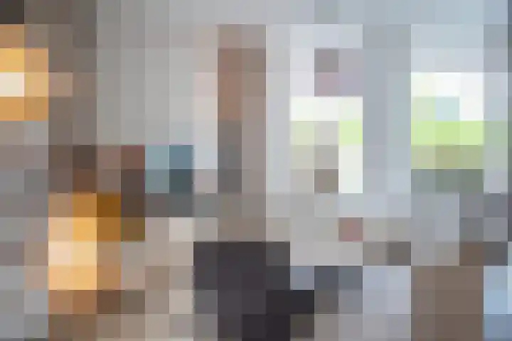 Beukenlaan 10 Dokkum thumbnail 11