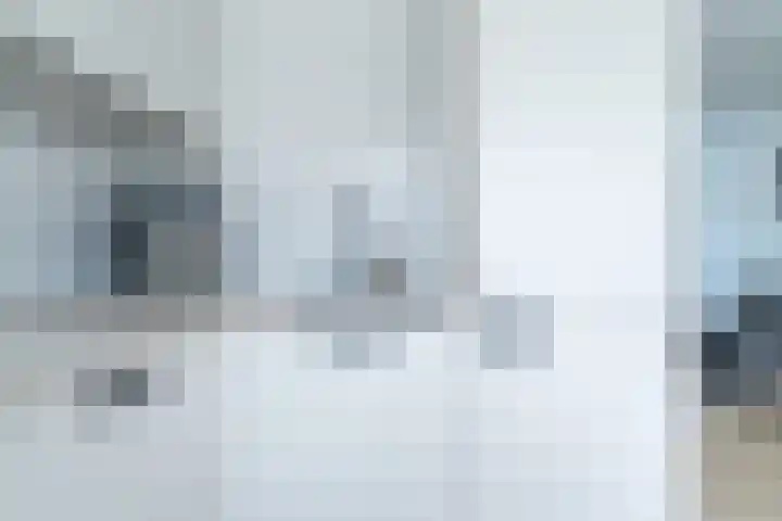 Beukenlaan 10 Dokkum thumbnail 13