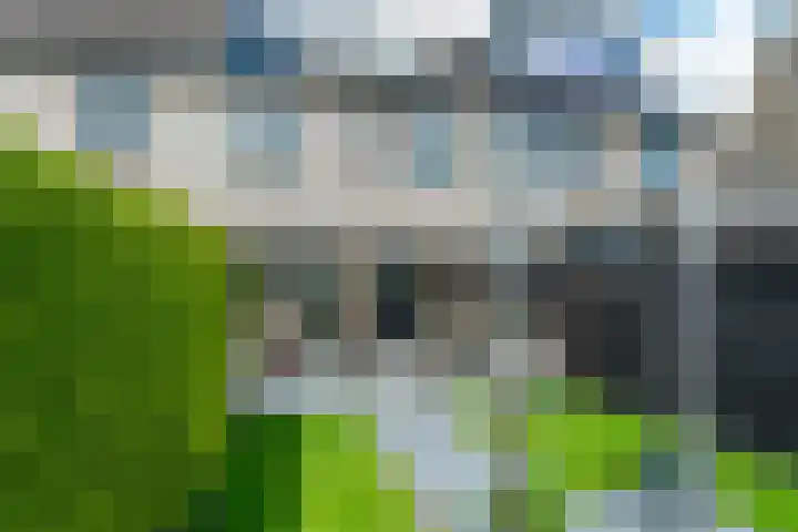 Beukenlaan 10 Dokkum thumbnail 28
