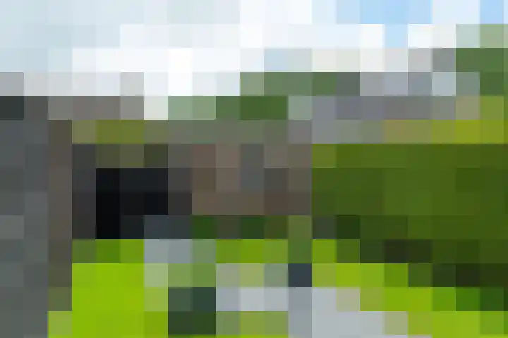 Beukenlaan 10 Dokkum thumbnail 29