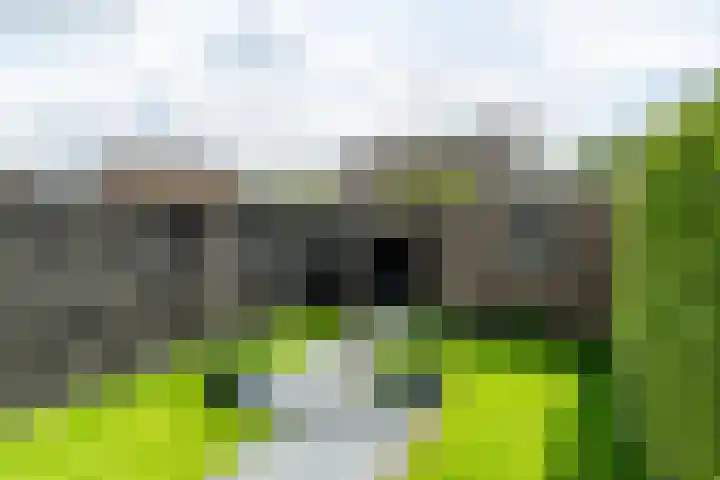 Beukenlaan 10 Dokkum thumbnail 30