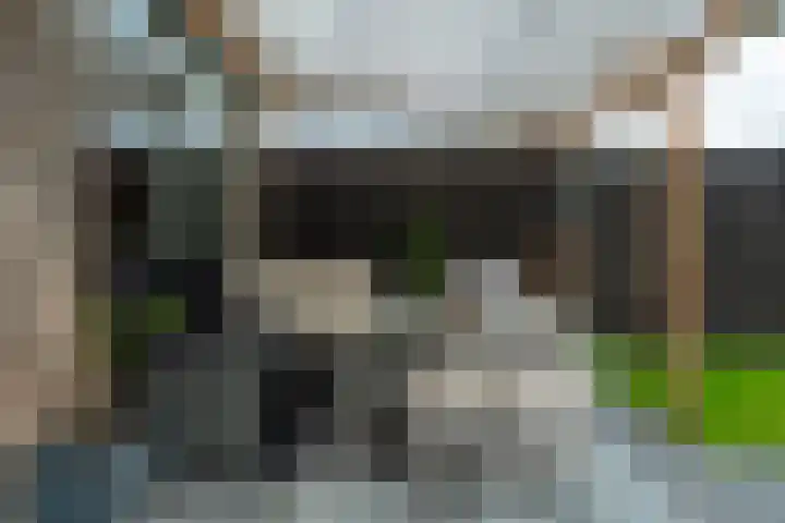 Beukenlaan 10 Dokkum thumbnail 32