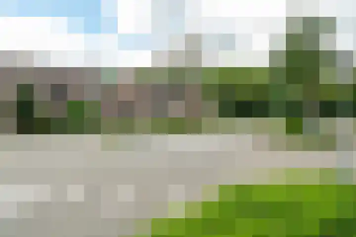 Beukenlaan 10 Dokkum thumbnail 36