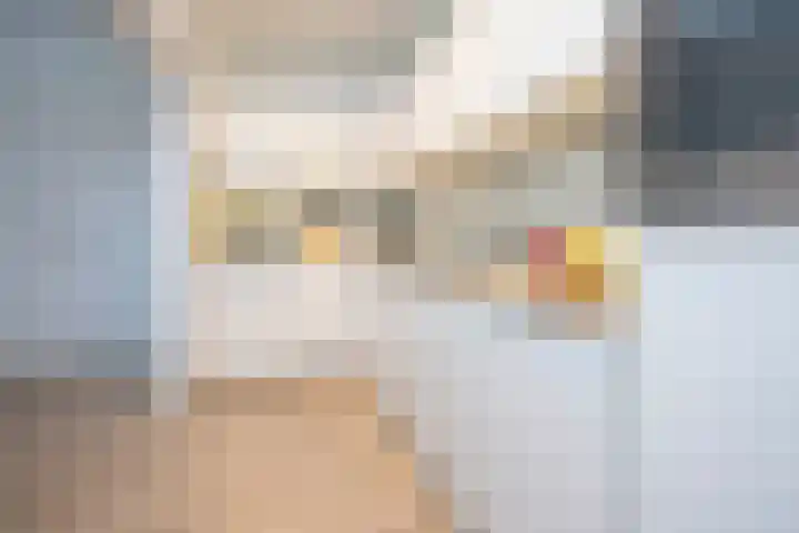 Beukenlaan 10 Haaren thumbnail 14