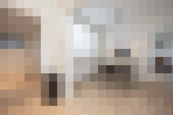 Beukenlaan 10 Haaren thumbnail 15