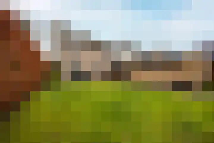 Beukenlaan 10 Haaren foto 2