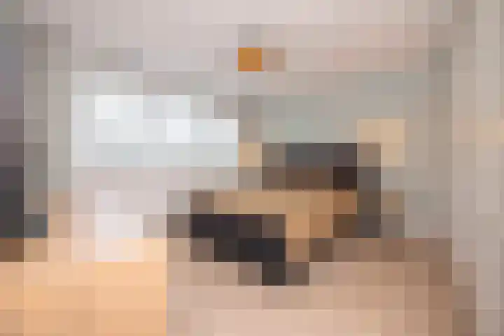 Beukenlaan 10 Haaren thumbnail 20