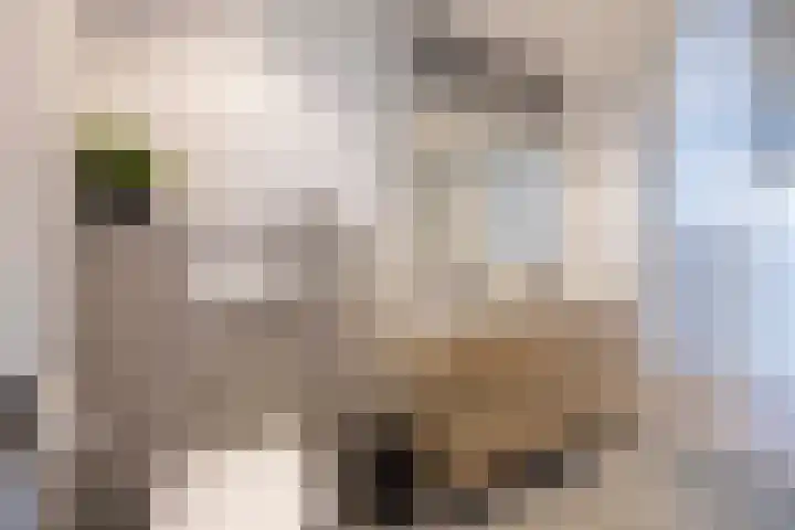 Beukenlaan 10 Haaren thumbnail 25