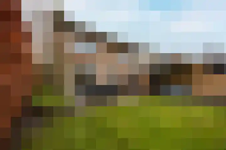 Beukenlaan 10 Haaren thumbnail 31